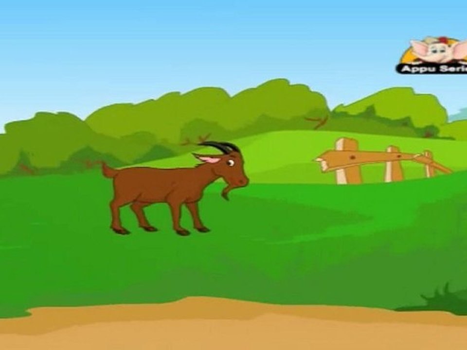 Learn - Pet Shop