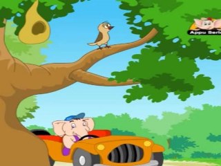 Learn - Animals That Can Fly