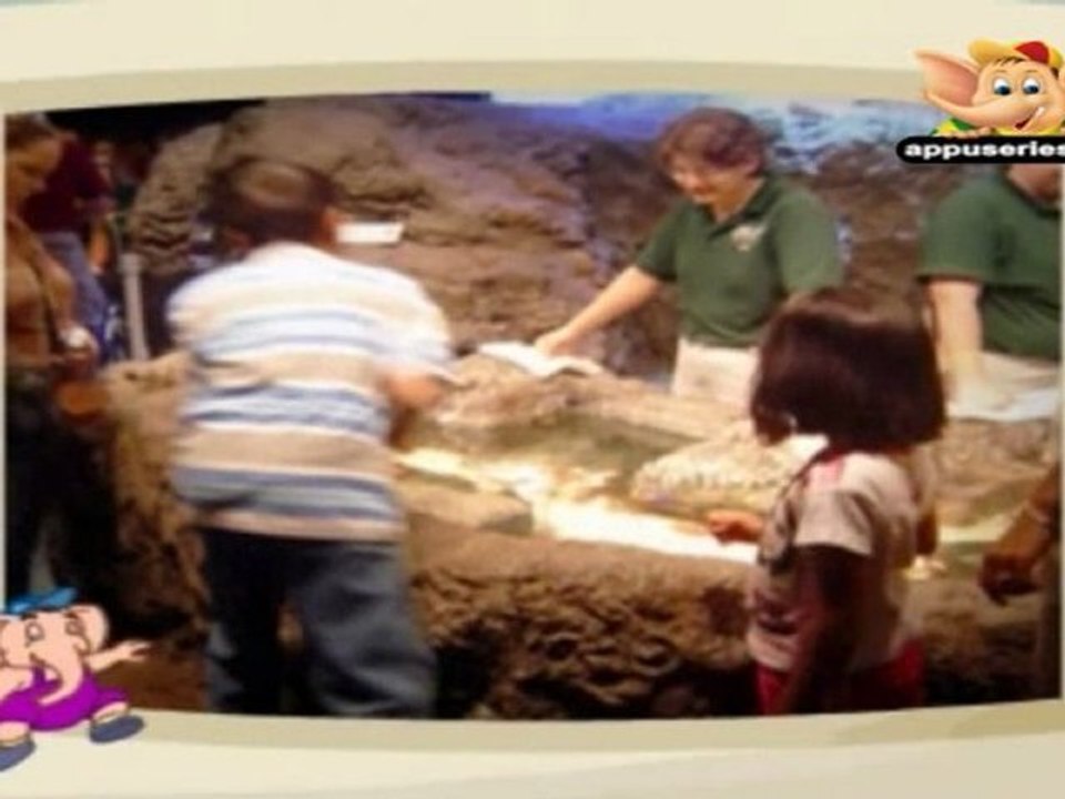 Learn Public Places - Picnic Spots