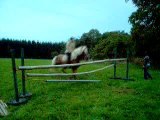 Ma jument Amina en saut de 1m20 =)