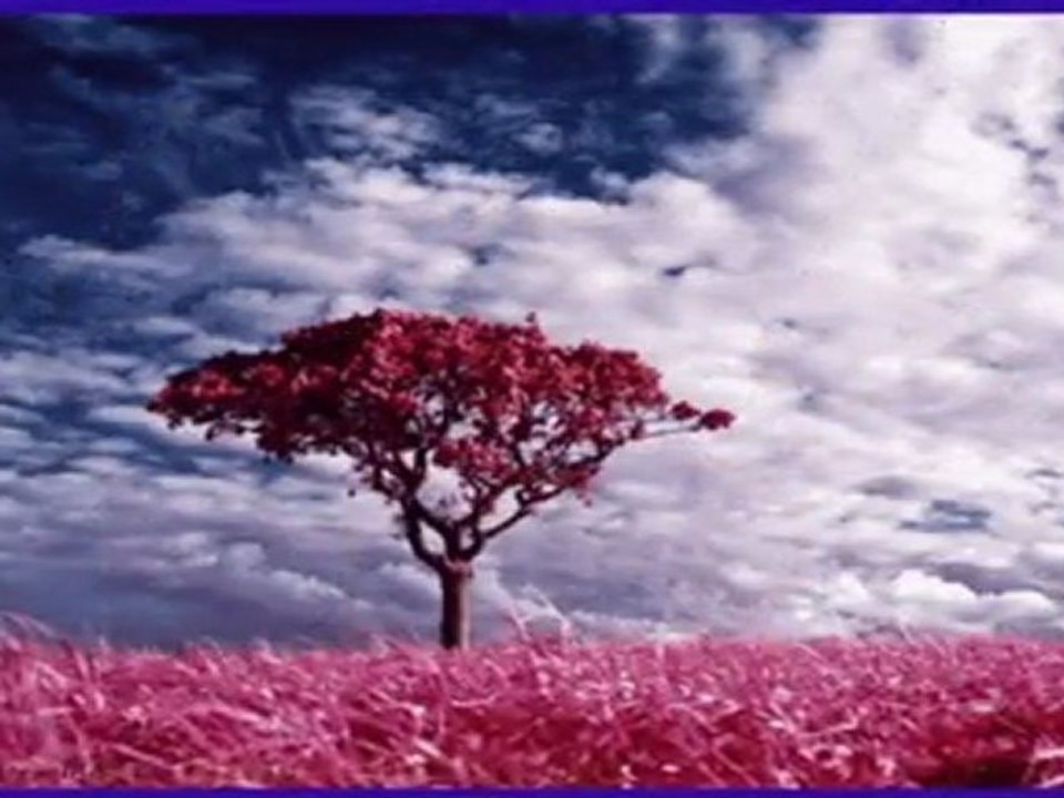 Bugün de ölmedim anne - Denizhan ALKAN