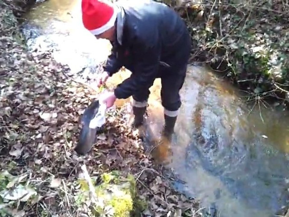 Ouverture truite 2012 n°15