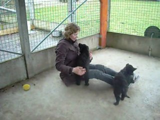 6 mars 2012 (1) : 8 semaines