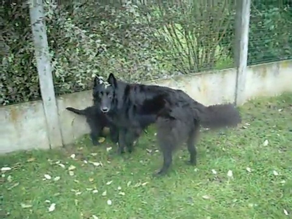 6 mars 2012 (2) : 8 semaines