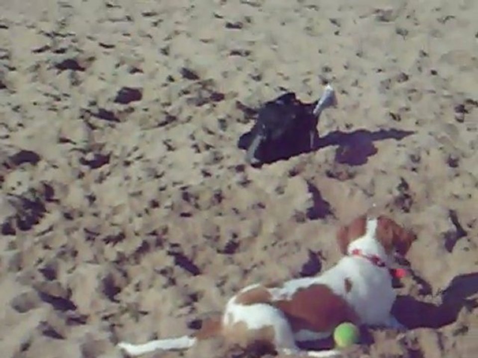 filles plage