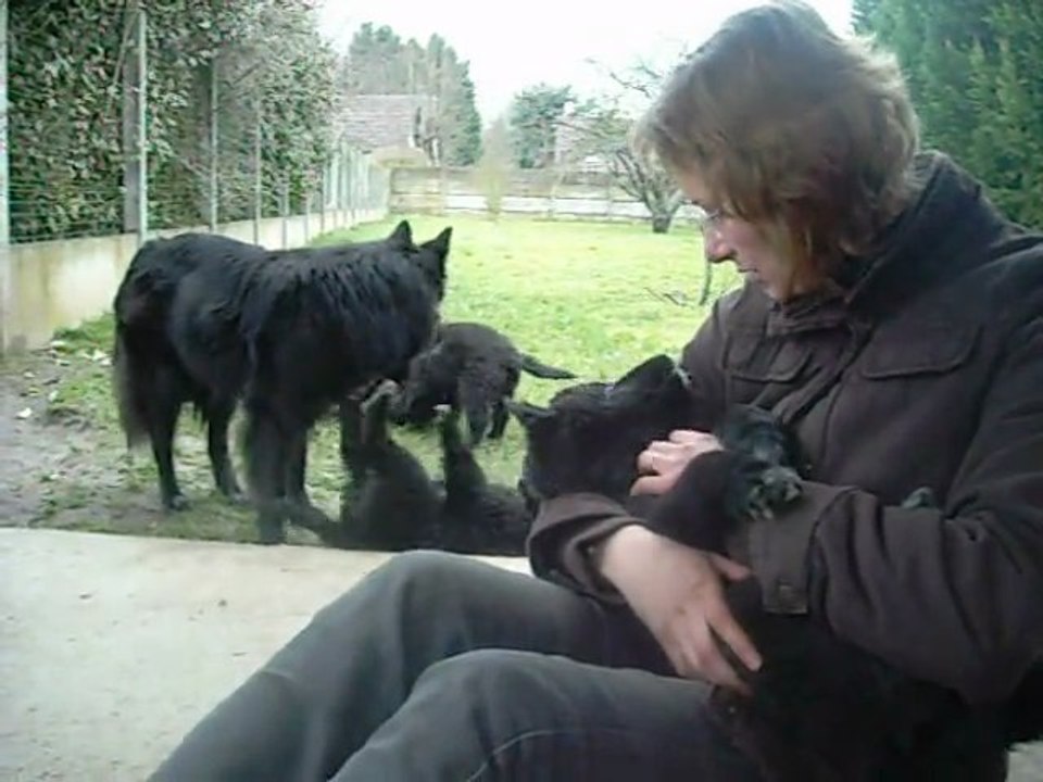 6 mars 2012 (3) : 8 semaines