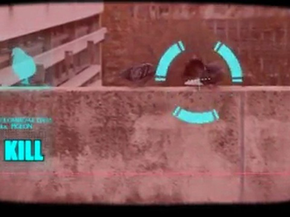 FX_Pigeon