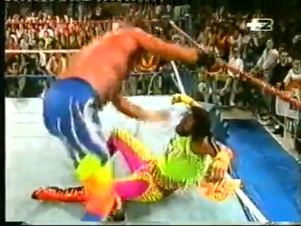 Jake Roberts fa mordere Machoman dal serpente (commento di Dan Peterson)