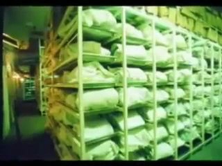 _مذبحة المسلمين فى البوسنة والهرسك - انشروها لله_‎