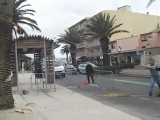 Cavalaire - Abattage d'un palmier