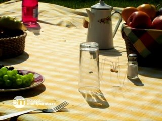 Minuscule Saison 1: Pique-nique