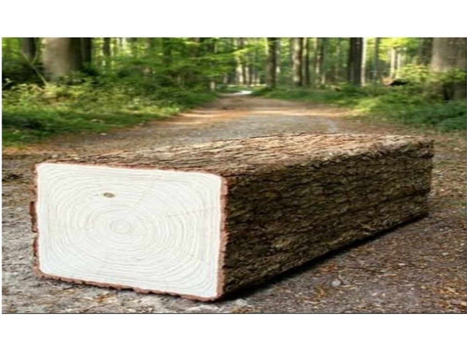 Minecraft: Ma première partie