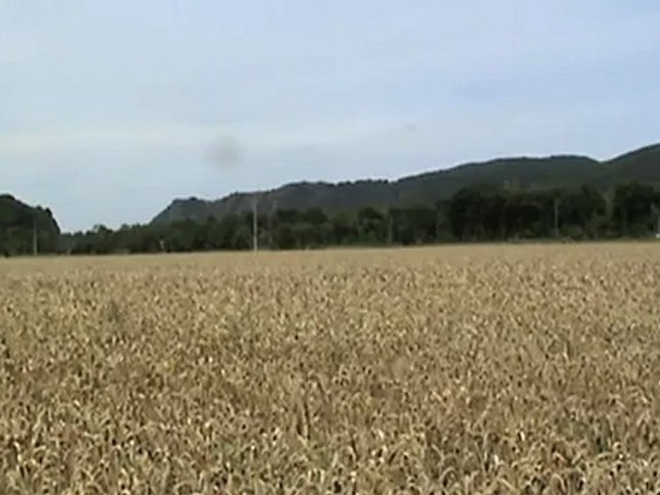 Desiro verläßt Haltepunkt Namedy Richtung Bf Brohl