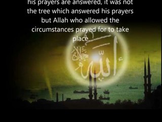 Islam is true Religion