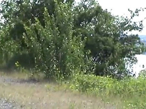 BR185 mit gemischtem Güterzug am Ortseingang Neuwied Richtung Süden