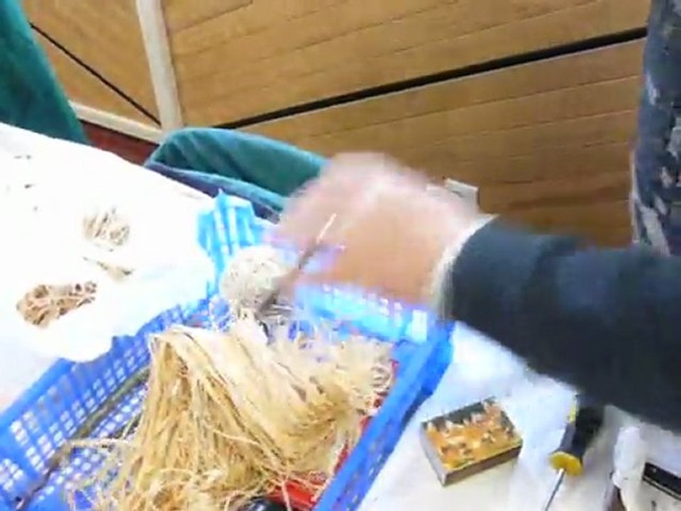 SHBL - greffe pommier