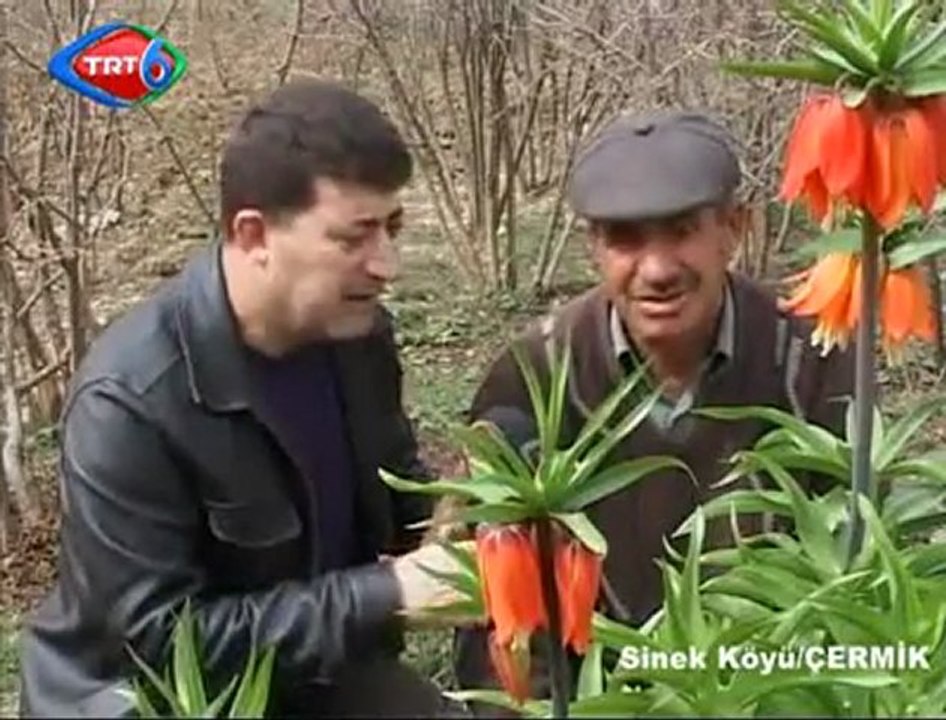 30_Nisan_2010_