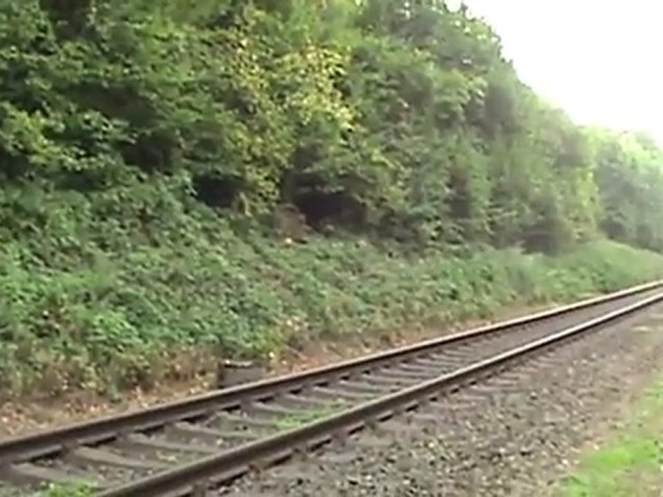 Bombardier Talent BR644 und Hauptsignal Witterschlick Heidgen 008