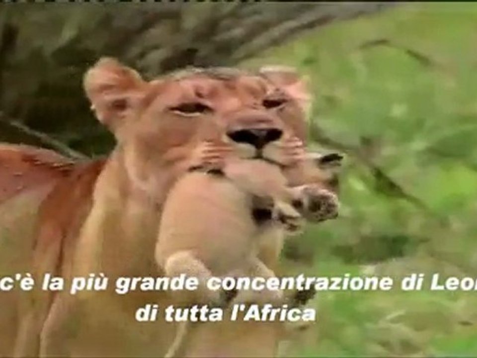 zambia-generale