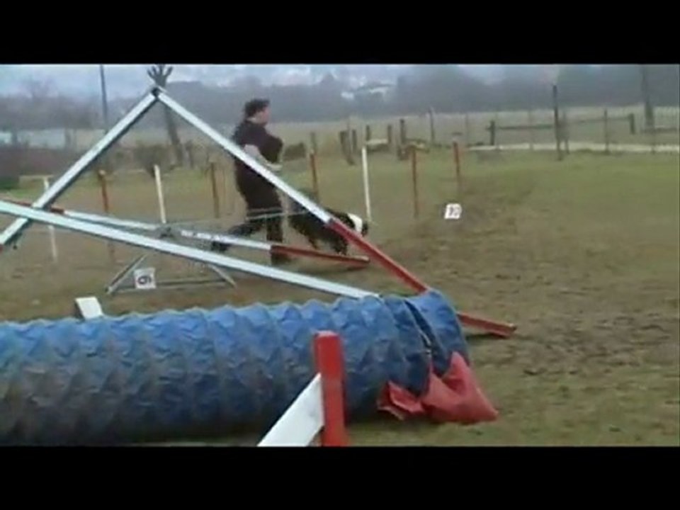 entrainement Flipper 16/17 mois