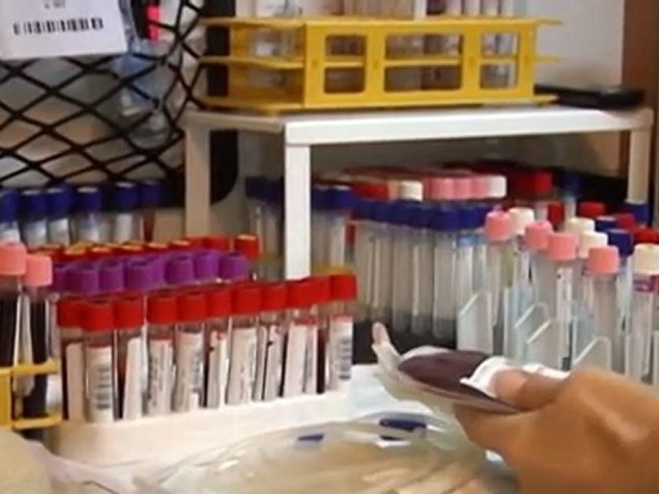 giovani donate sangue