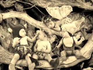 mon bébé papillon mon combat