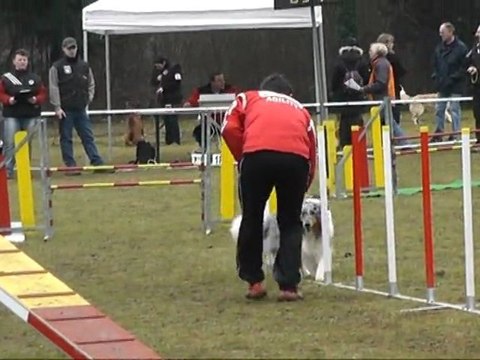 Funky concours agility AC Boxer 1er degre 04/03/2012