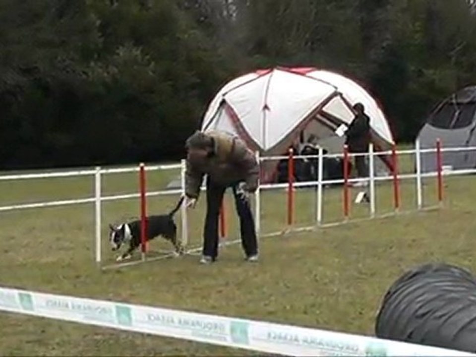 Evora GPF concours agility AC Boxer 0403/2012