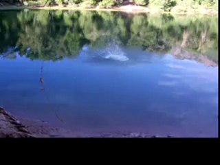 Peter Belisis Doing Crazy Pond Swing Jump