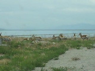 Peter Belisi Enjoying The Nature Tour