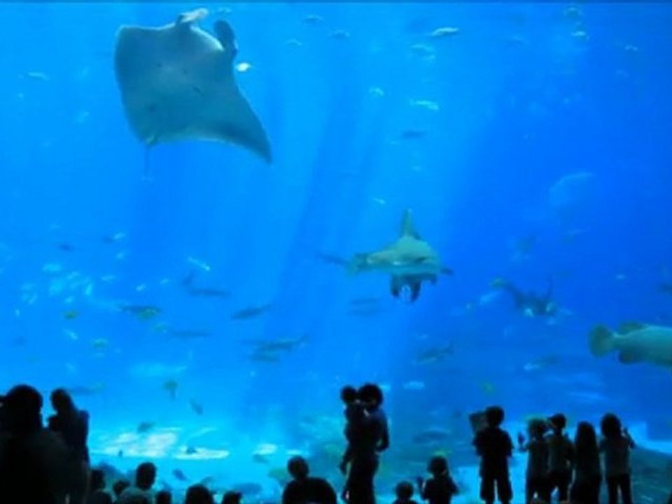 Genesis vs Katy Perry - Not Like In Too Deep