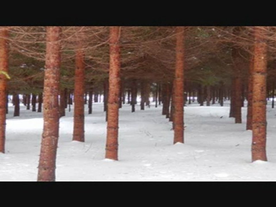 Rand. THETFORD MINES mars 2012