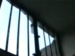 فري برس حمص جب الجندلي اثار القصف العنيف من الدبابات  7 3 2012 ج4