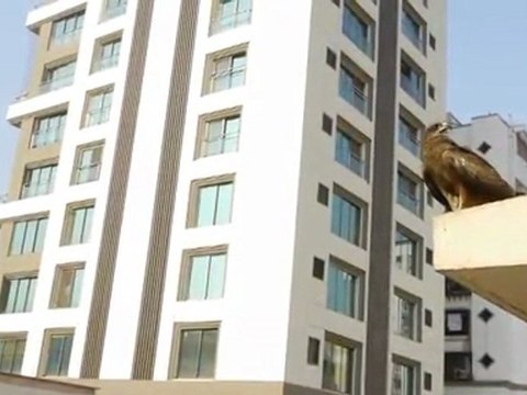 NOISINDIA - Festival Détours de Babel 2012