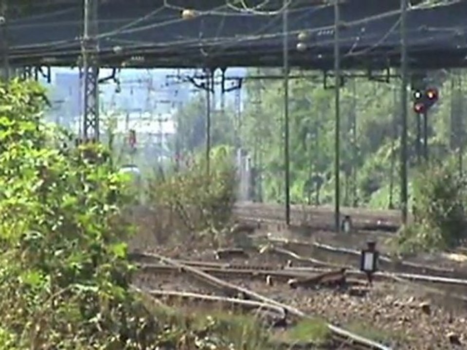 BR155, Mak G1000BB, BR294, ICE, BR425 und BR644 beim Rbf Köln-Eifeltor