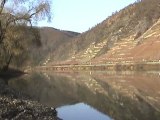 BR181, BR185, BR140, BR143 bei Winningen - Dieblich a.d. Mosel