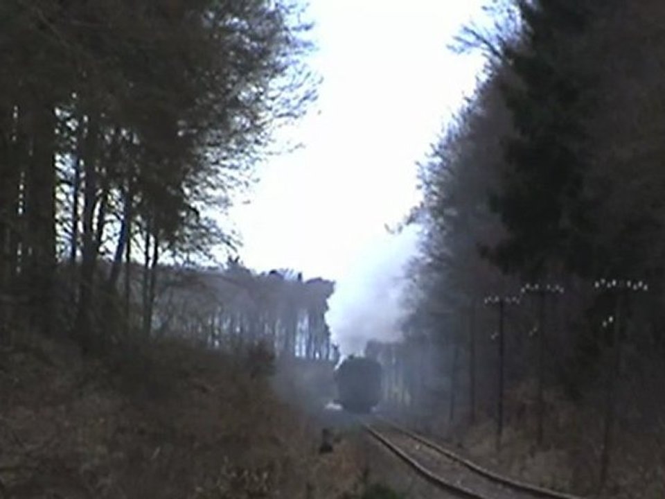 Plandampf Dampfspektakel 2010 Eifelquerbahn vor Dockweiler BR50, BR52, V60, Pr T11