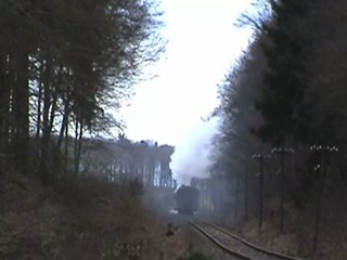 Plandampf Dampfspektakel 2010 Eifelquerbahn vor Dockweiler BR50, BR52, V60, Pr T11