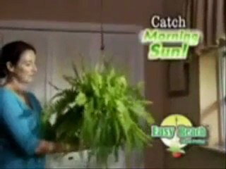 Easy Reach Otomatik Saksı Makarası 2 adet Birden