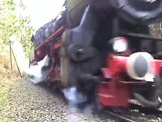 Dampfspektakel 2010 Plandampf Utzerath Eifelquerbahn BR52, Pr T11, V60, V100, Schienenbus