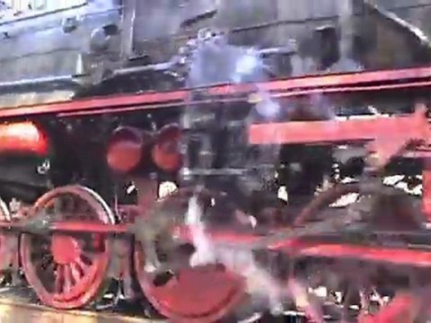 Dampfspektakel 2010 Plandampf Eifelquerbahn BR50 im Wald vor dem Bf Dockweiler