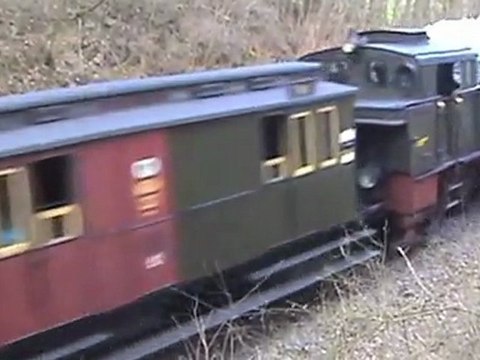 Pr T11, BR58, Schienenbus, V100, V60 Darscheid Dampfspektakel Plandampf 2010