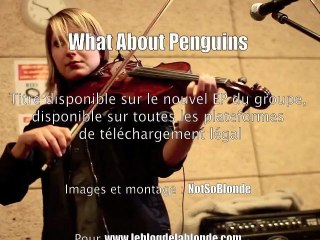 What About Penguins (vidéo) : Limbo The Fool