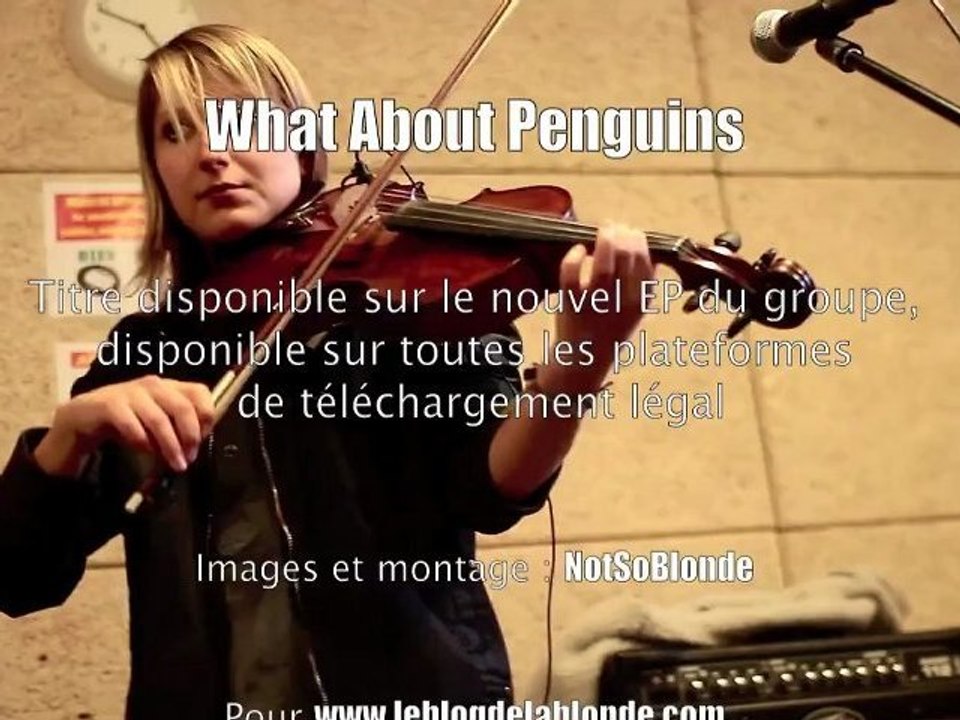 What About Penguins (vidéo) : Limbo The Fool