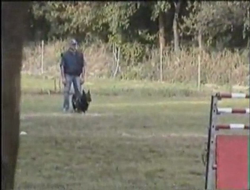 SCHIKO des Orckis de l'Adret-2-10-04_valence-ring3