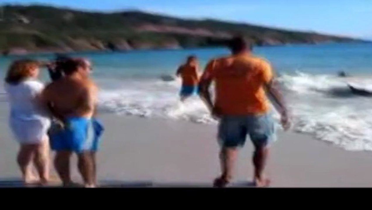 30 delfines salvan su vida gracias a unos bañistas