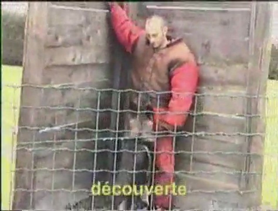 SCHIKO des Orckis de l'Adret-12-9-04_aiton-ring3