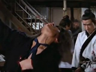 Le Bras de la vengeance ( bande annonce VO )