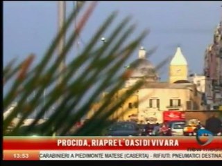 TUTTI GIORNI SERVIZI E NEWS DA ISCHIA E PROCIDA NEI VG DI CANALE 8
