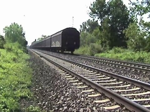 BR155, BR189, BR151, BR152, 2x BR185, 2x BR143, 2x BR425 zwischen Unkel und Erpel